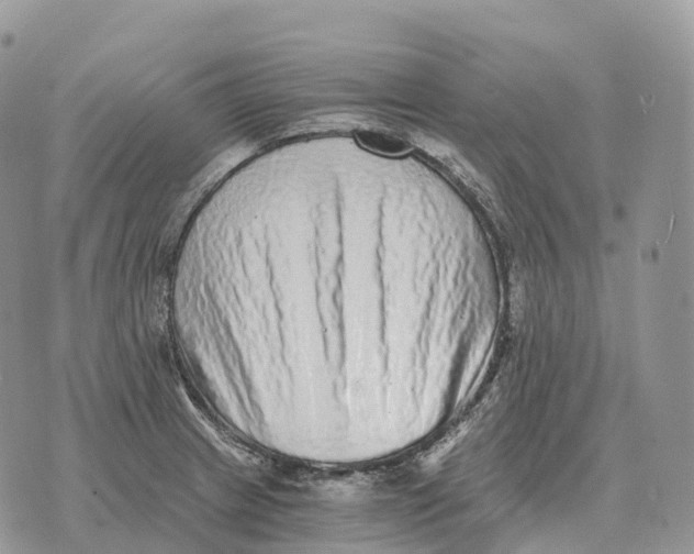 X0000072981233200608111733