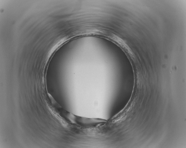 X0000072981234200608111733