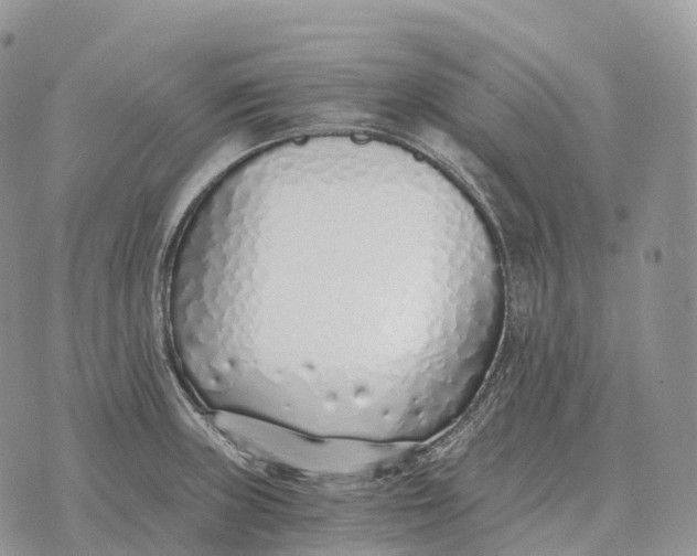 X0000072981235200608111733