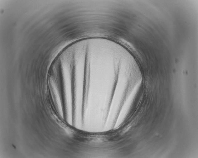 X0000072981236200608111733