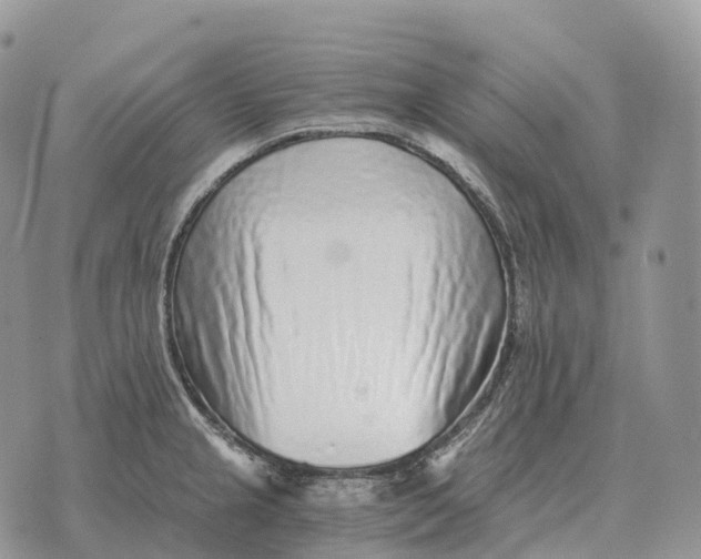 X0000072981237200608111733