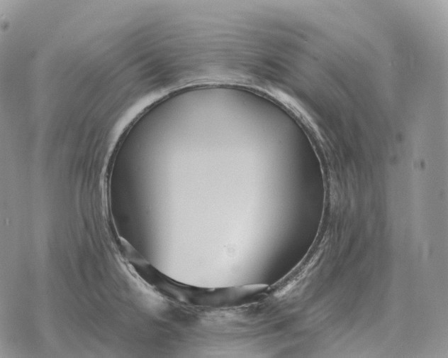 X0000072981238200608111733