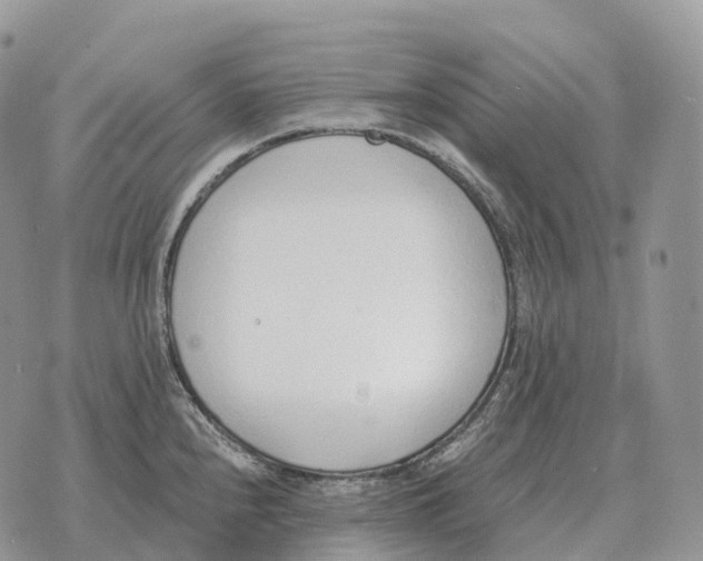 X0000072981240200608111733