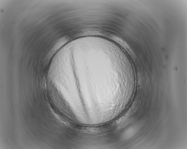 X0000072981241200608111733