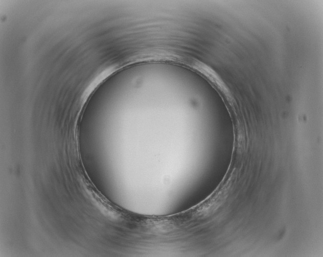 X0000072981242200608111733