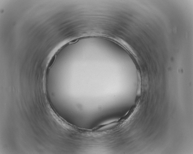 X0000072981246200608111733