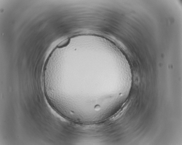 X0000072981247200608111733