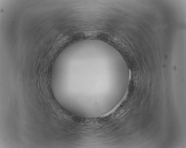 X0000072981249200608111732