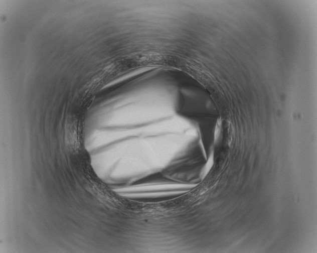 X0000072981250200608111732