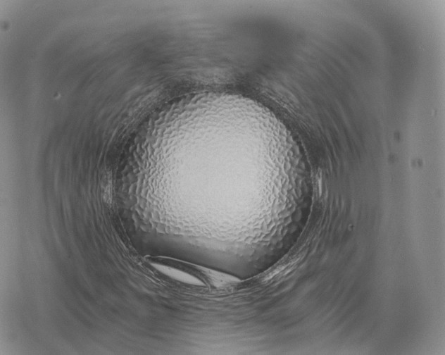 X0000072981251200608111732