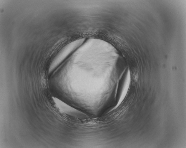 X0000072981252200608111732