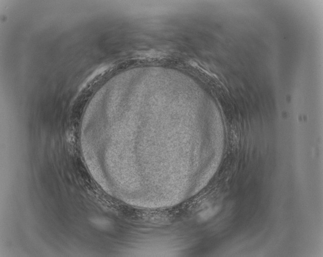 X0000072981254200608111732