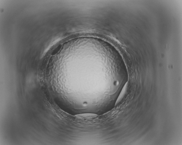 X0000072981255200608111732