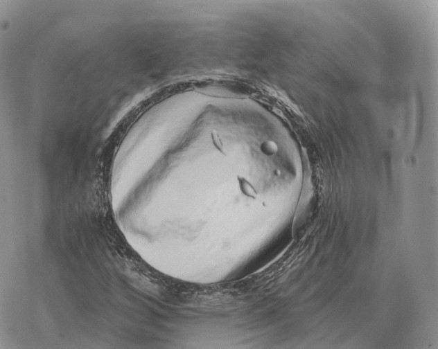 X0000072981256200608111732