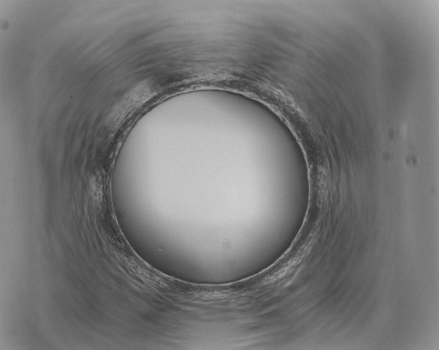 X0000072981257200608111732