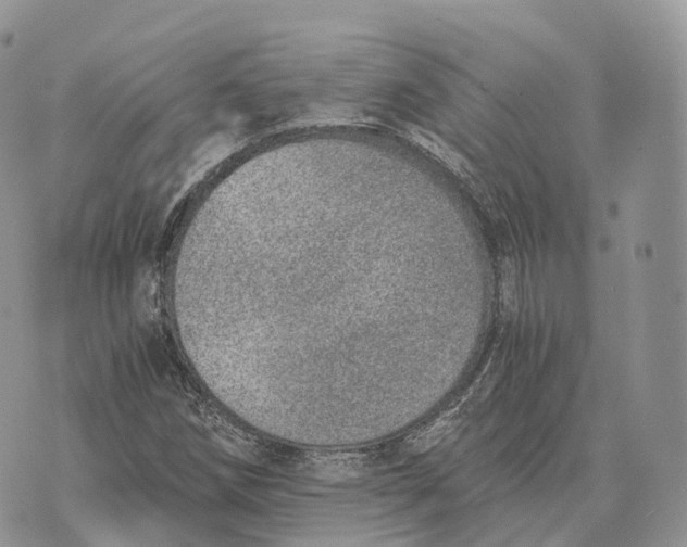 X0000072981258200608111732