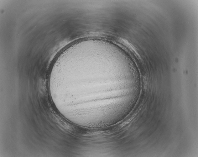 X0000072981260200608111732