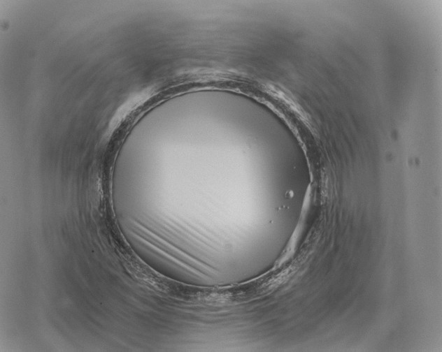 X0000072981261200608111732