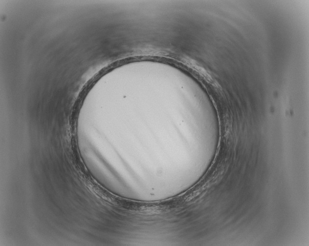 X0000072981264200608111732