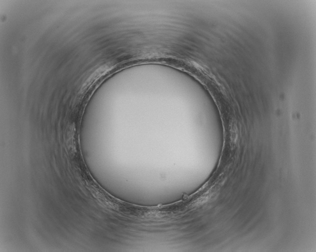 X0000072981265200608111732