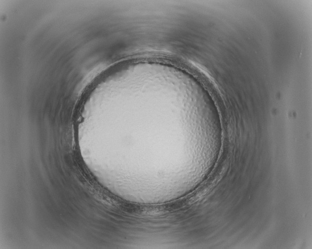 X0000072981267200608111732