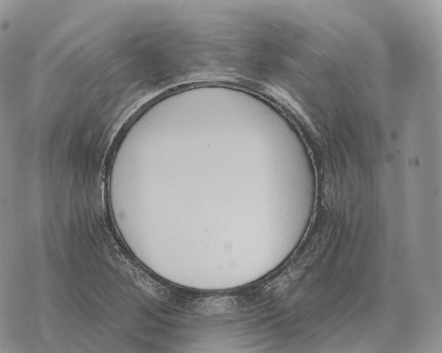 X0000072981268200608111732