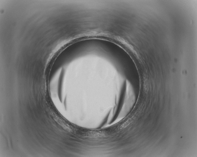 X0000072981270200608111732