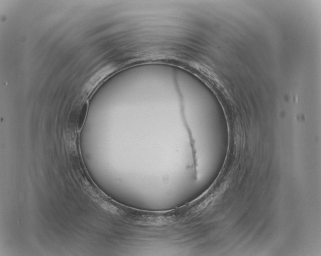 X0000072981273200608111732