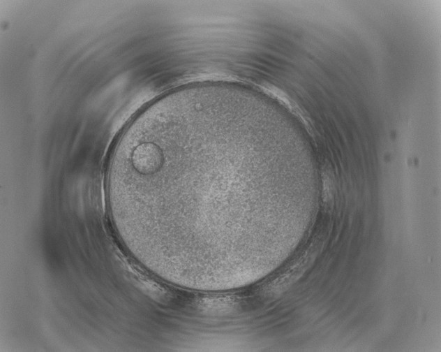 X0000072981274200608111732