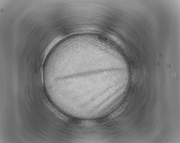 X0000072981275200608111732