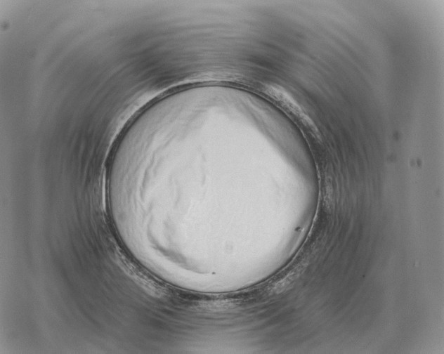 X0000072981276200608111732