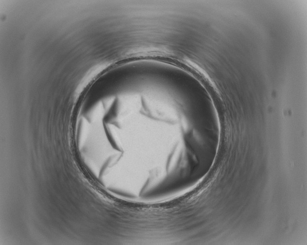 X0000072981277200608111732