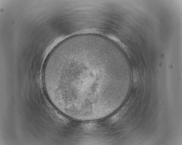 X0000072981278200608111732