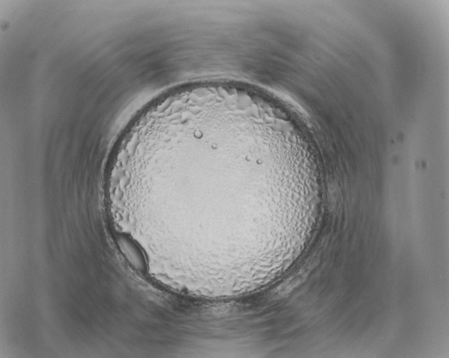 X0000072981279200608111732