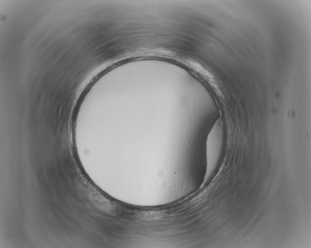 X0000072981280200608111732