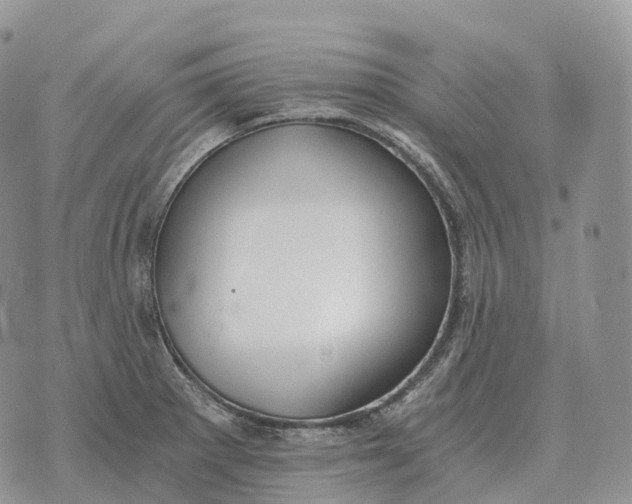 X0000072981281200608111732