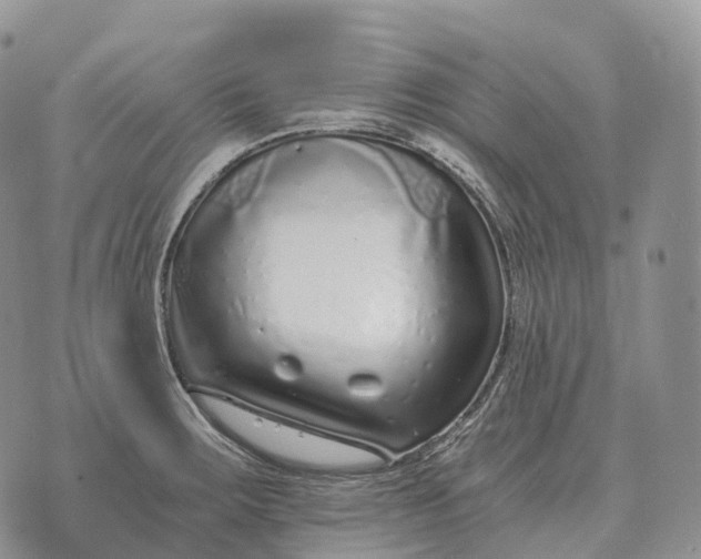 X0000072981283200608111732