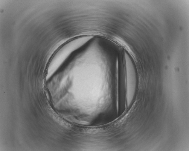 X0000072981284200608111732