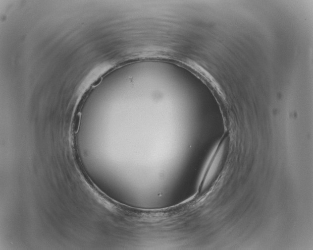 X0000072981285200608111732