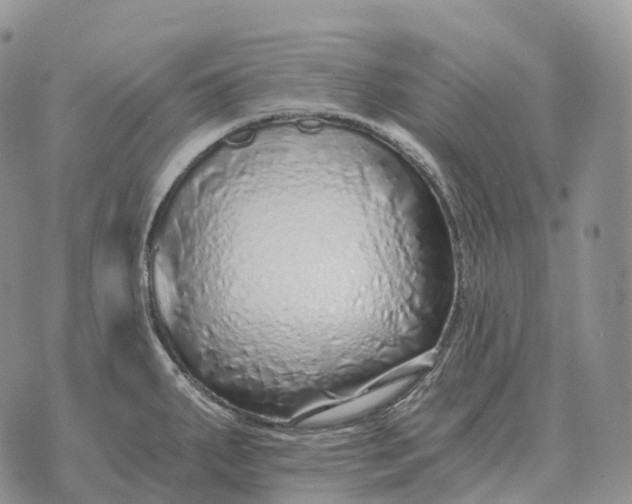 X0000072981287200608111732