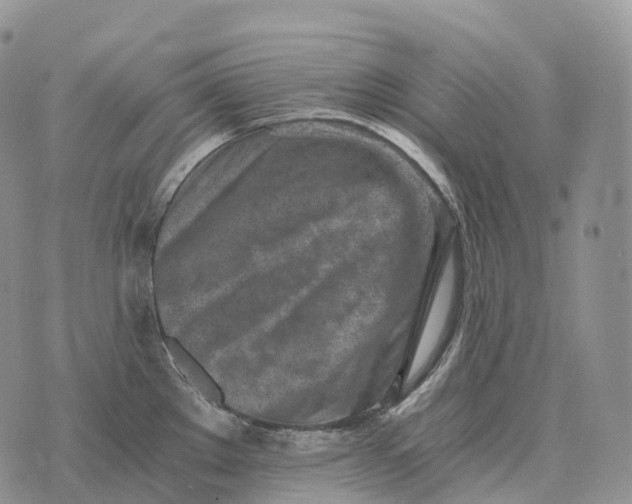 X0000072981289200608111732