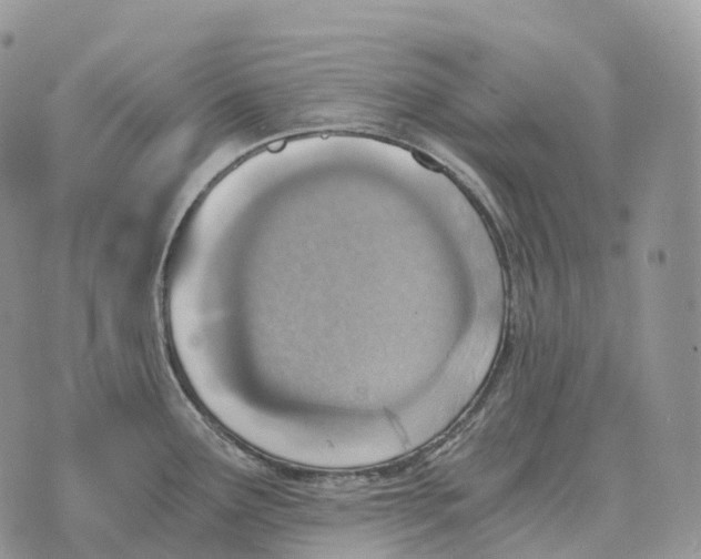 X0000072981291200608111732