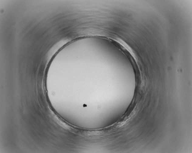 X0000072981293200608111732