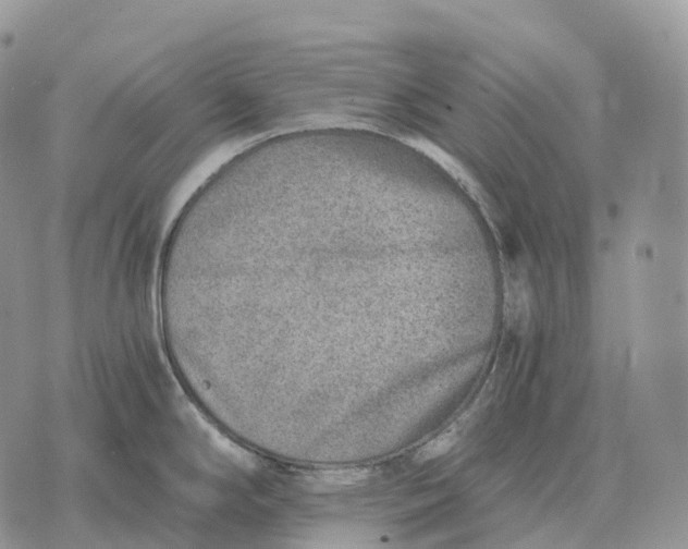 X0000072981294200608111732