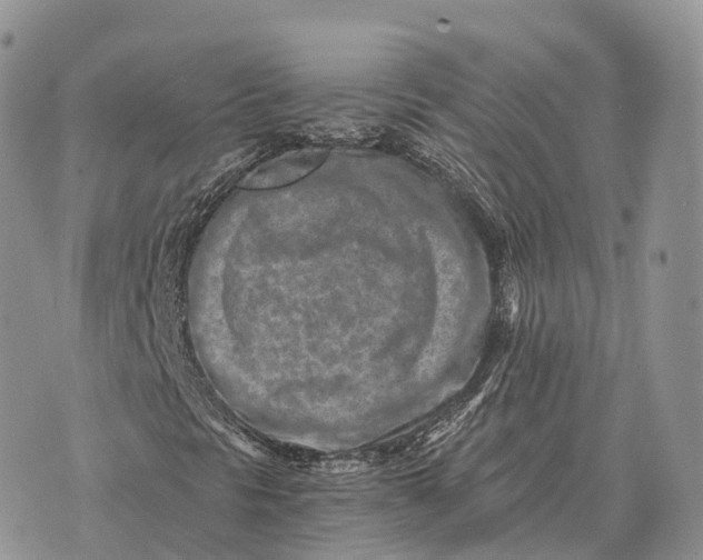 X0000072981297200608111731