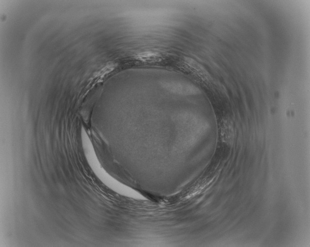 X0000072981298200608111731