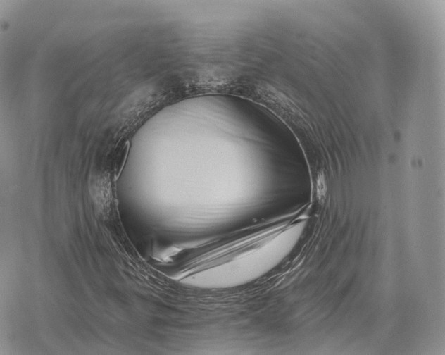 X0000072981299200608111731