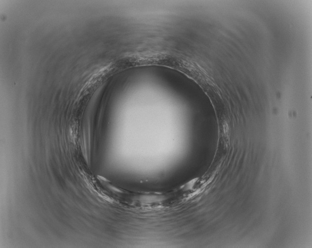 X0000072981300200608111731