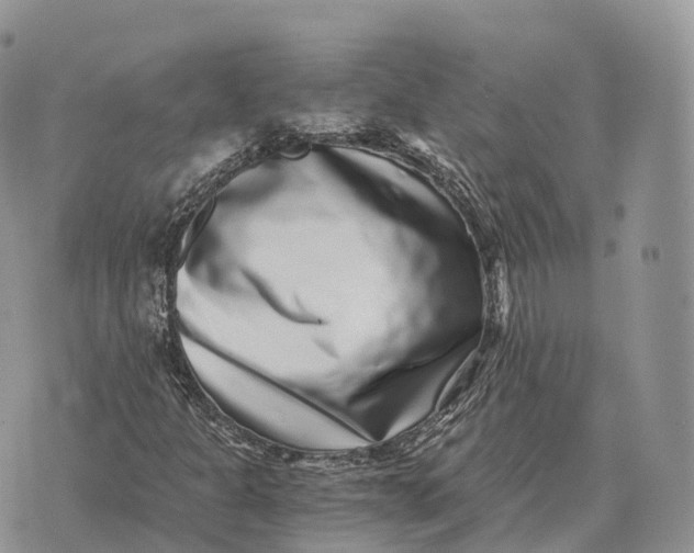 X0000072981301200608111731