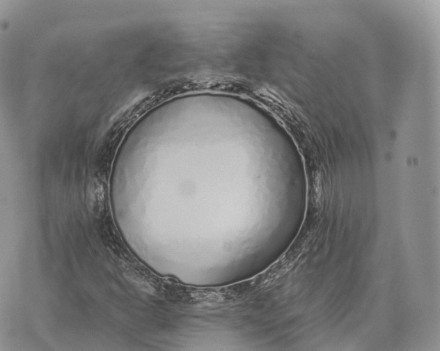 X0000072981302200608111731